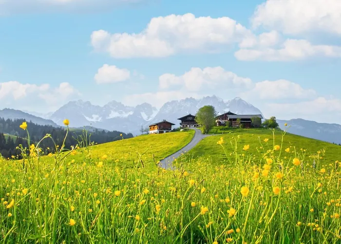 Mountain Vista - Bio Yoga Hof