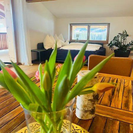 Apartment Mountain Vista - Bio Yoga Hof Kitzbuhel